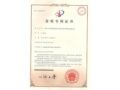 發明專利 